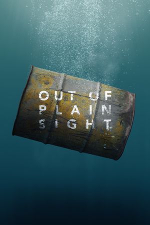 Out of Plain Sight's poster