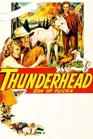 Thunderhead: Son of Flicka's poster