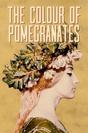 The Color of Pomegranates's poster