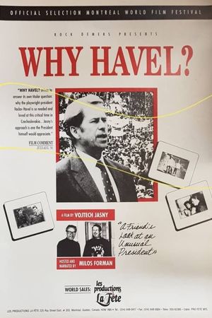 Why Havel?'s poster