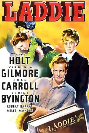 Laddie's poster