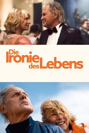 Die Ironie des Lebens's poster
