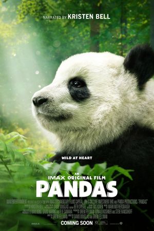 Pandas's poster