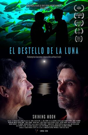 El destello de la luna's poster image