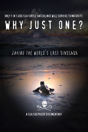 Why Just One?'s poster