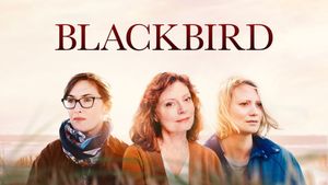 Blackbird's poster