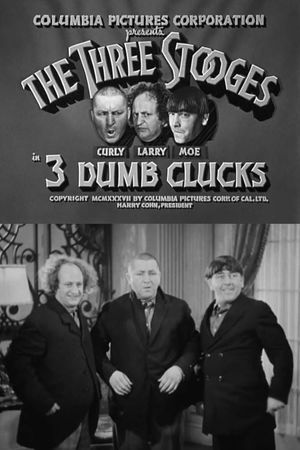 3 Dumb Clucks's poster