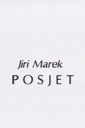 A Visit's poster