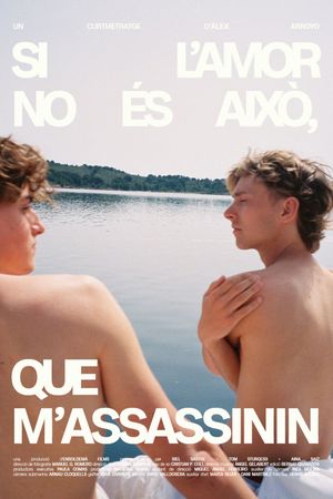 Si l'amor no és això, que m'assassinin's poster