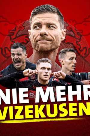 Nie mehr Vizekusen!'s poster image