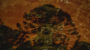 Archipelago of Earthen Bones — To Bunya's poster