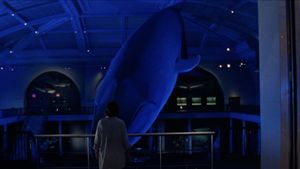 The Squid and the Whale's poster