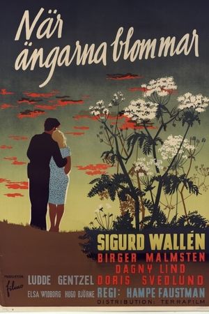 När ängarna blommar's poster