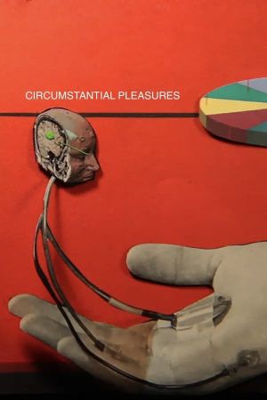 Circumstantial Pleasures's poster