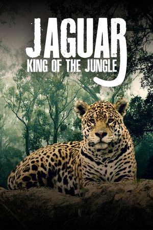 Jaguar: King of the Jungle's poster