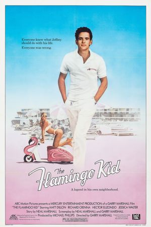 The Flamingo Kid's poster