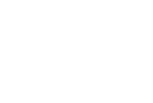 Land and Freedom's poster