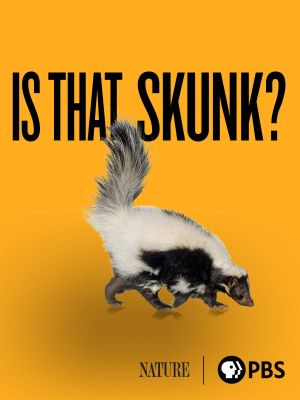 Is That Skunk?'s poster