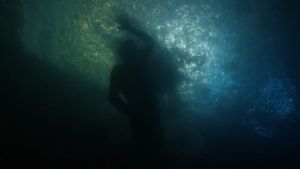 Buoyancy's poster