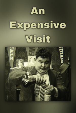 An Expensive Visit's poster