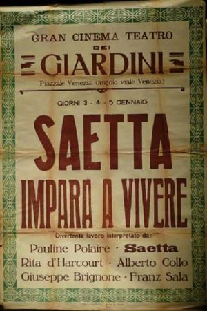 Saetta impara a vivere's poster