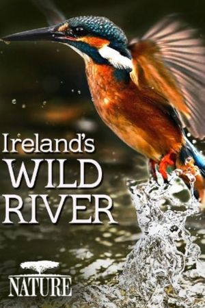 On a River in Ireland's poster