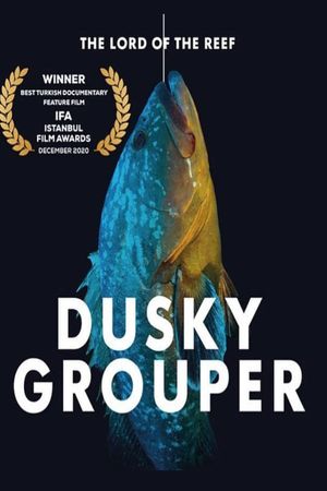 Dusky Grouper 'The Lord of the Reef''s poster