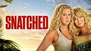 Snatched's poster