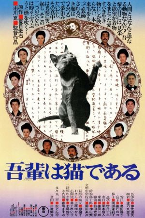 I Am a Cat's poster image