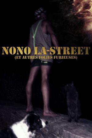 Nono La-Street (et autres folies furieuses)'s poster