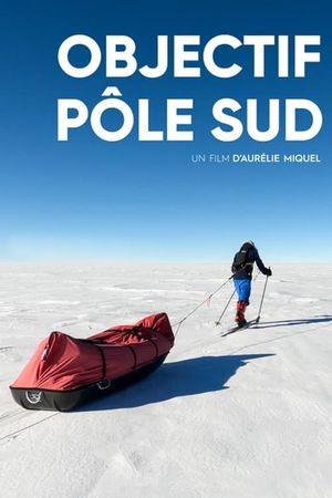 Solo to the South Pole's poster