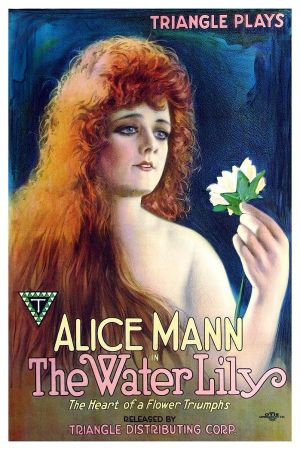 The Water Lily's poster