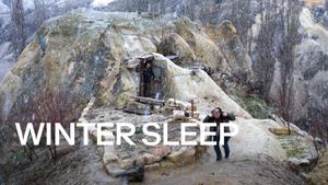Winter Sleep's poster