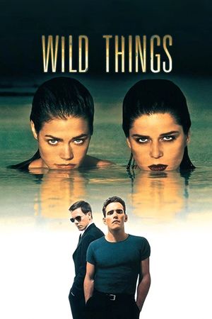 Wild Things's poster