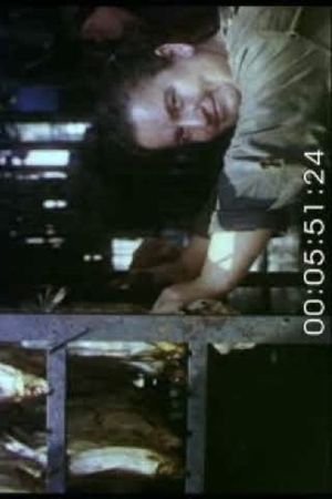 Landscape. Portrait. Still Life's poster