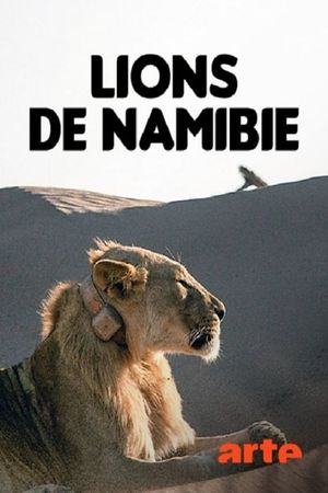 Lions of Namibia: The Kings of the Desert's poster