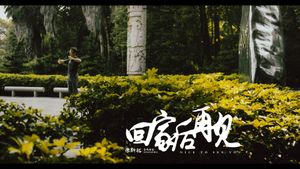 回家后再见's poster
