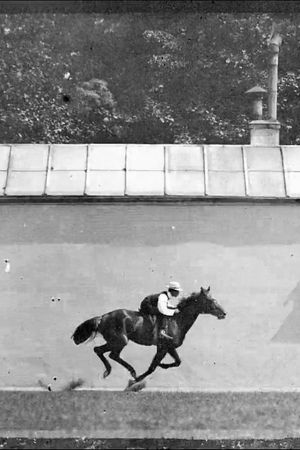 Cheval Noir Monté, Galop's poster