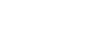 They Wait in the Dark's poster