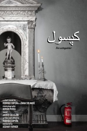 Fire Extinguisher's poster