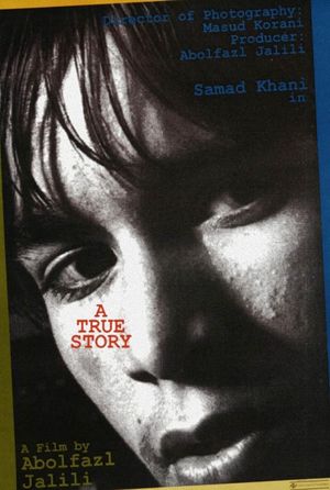 A True Story's poster