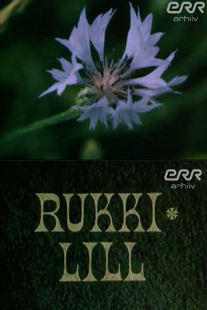 Rye flower's poster