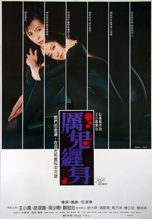 Split of the Spirit's poster