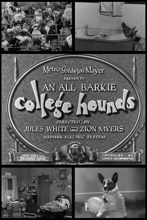 College Hounds's poster