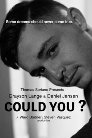 Could You?'s poster