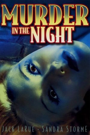 Murder in the Night's poster