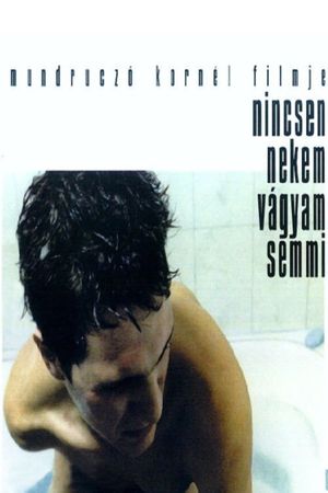 This I Wish and Nothing More's poster