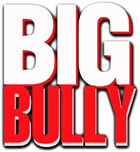 Big Bully's poster