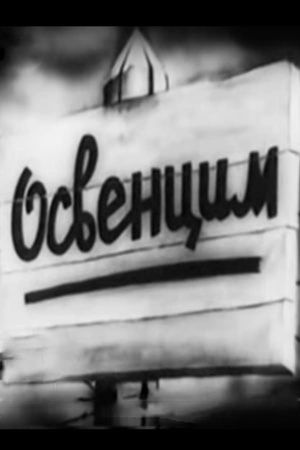 Auschwitz's poster