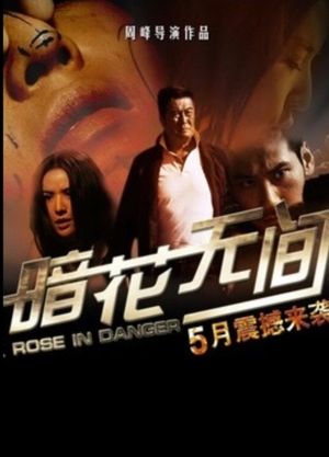 暗花无间's poster